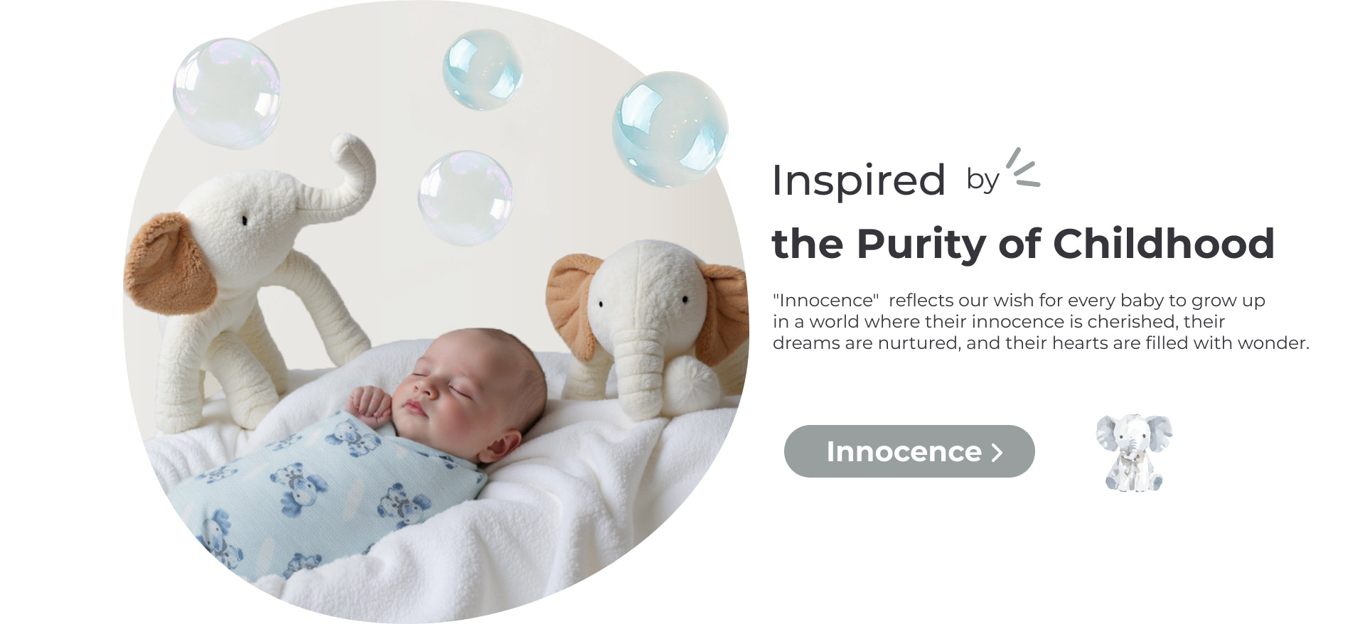 Homepage slide