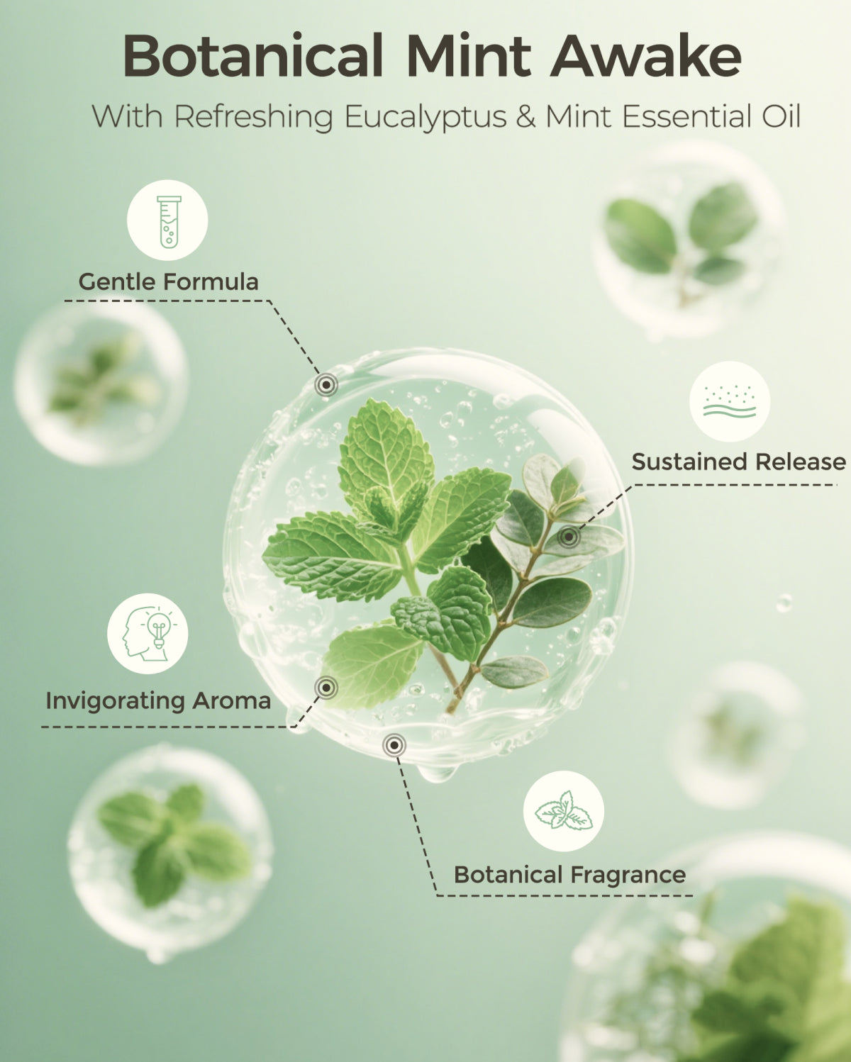 Momcozy Peppermint & Eucalyptus Shower Steamers（14 Pack）